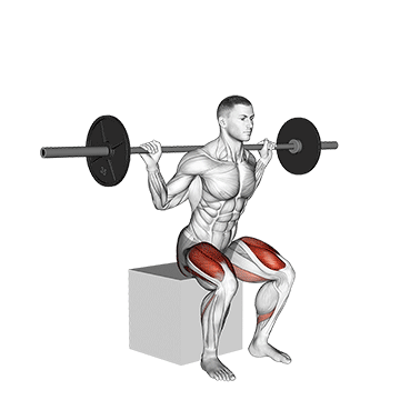 Box Squat