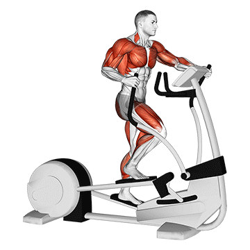 Elliptical Trainer