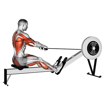 Rowing Machine