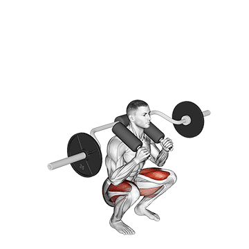 Safety Bar Squat