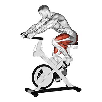 Spin Bike