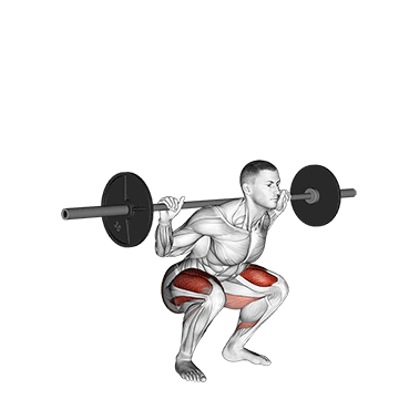 Low Bar Squat